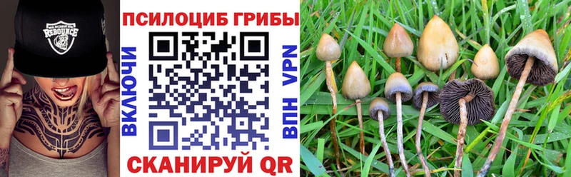 Купить  Яхрома  Галлюциногенные грибы GOLDEN TEACHER 